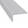 CQFD Raw Aluminum Step Edge Profile 1 meter