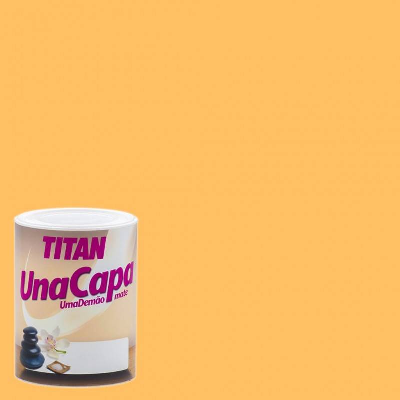 Titan Titan Matte Paint One Layer